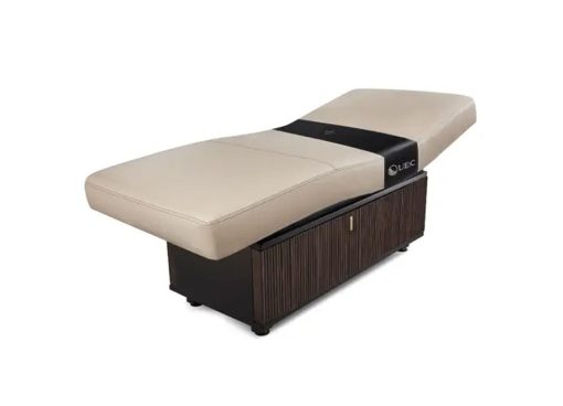 INSIGNIA WAVERLY™ Multi-purpose treatment table with replaceable mattress