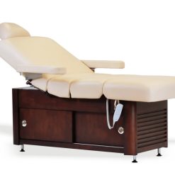 Maharaja Electric Spa Massage Table with Headrest and Armrest