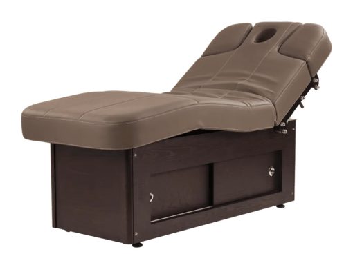 Raman Electric Spa Massage Table Facehole Unplugged