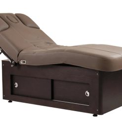 Raman Electric Spa Massage Table