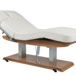 Tejas Electric Spa Massage Table Light Colored