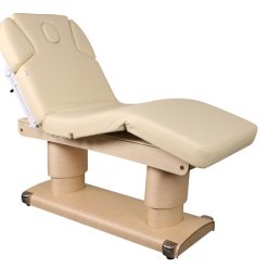 HZ-3838 Elite 4-Motor Electric Spa Treatment & Massage Table